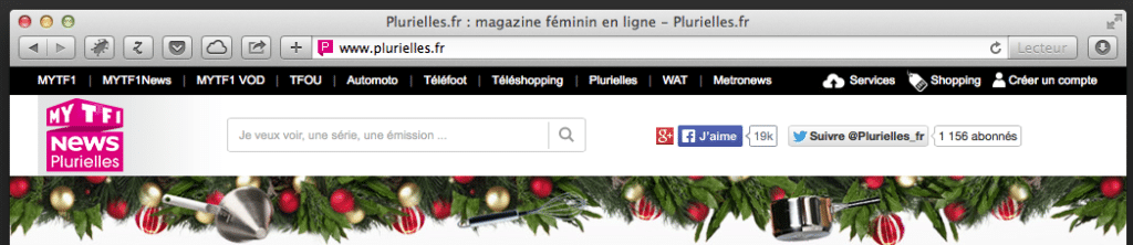 plurielles-TF1News